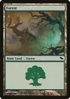 Forest [] #