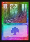 Forest [Foil] #