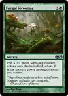 Fungal Infection #