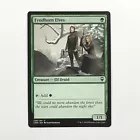 Fyndhorn Elves