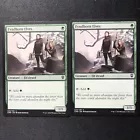 Fyndhorn Elves