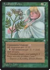 Fyndhorn Druid