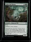 Galewind Moose [Foil] #