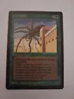 Giant Spider
