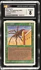 Giant Spider