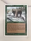 Grizzly Bears