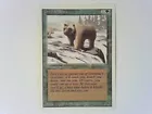 Grizzly Bears
