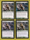 Grizzly Bears