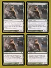 Grizzly Bears