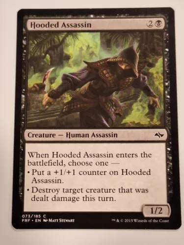 Hooded Assassin