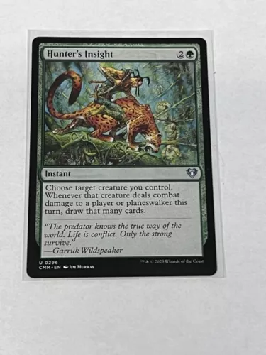 Hunter's Insight #