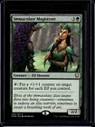 Immaculate Magistrate