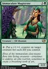 Immaculate Magistrate