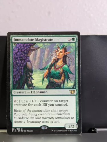 Immaculate Magistrate