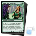 Immaculate Magistrate #