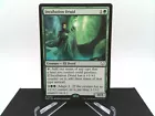 Incubation Druid