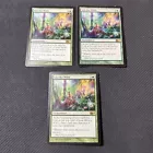 Evolving Wilds