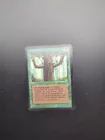 Ironroot Treefolk