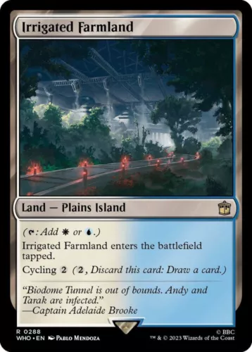 Irrigated Farmland #