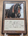 Ebony Horse