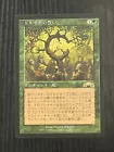 Oath of Druids