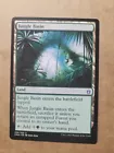 Jungle Basin #