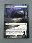 Kessig Wolf Run