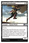Kitesail Freebooter