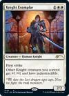 Knight of the Reliquary