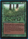 Kudzu