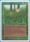 Kudzu
