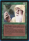 Ley Druid