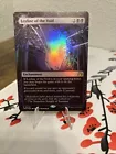 Evolving Wilds
