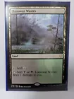 Llanowar Wastes