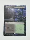 Llanowar Wastes