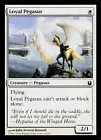 Loyal Pegasus