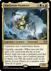 Maelstrom Wanderer #
