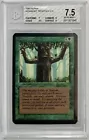 Ironroot Treefolk