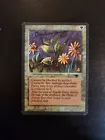 Argothian Pixies