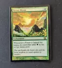 Vernal Bloom