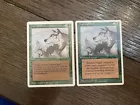 Aspect of Wolf