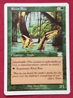 River Boa