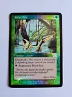 River Boa