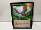 Birds of Paradise
