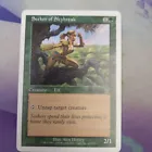 Seeker of Skybreak