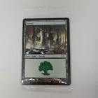 Lay of the Land
