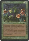 Argothian Pixies