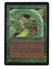 Craw Wurm