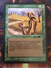 Citanul Druid