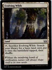 Evolving Wilds